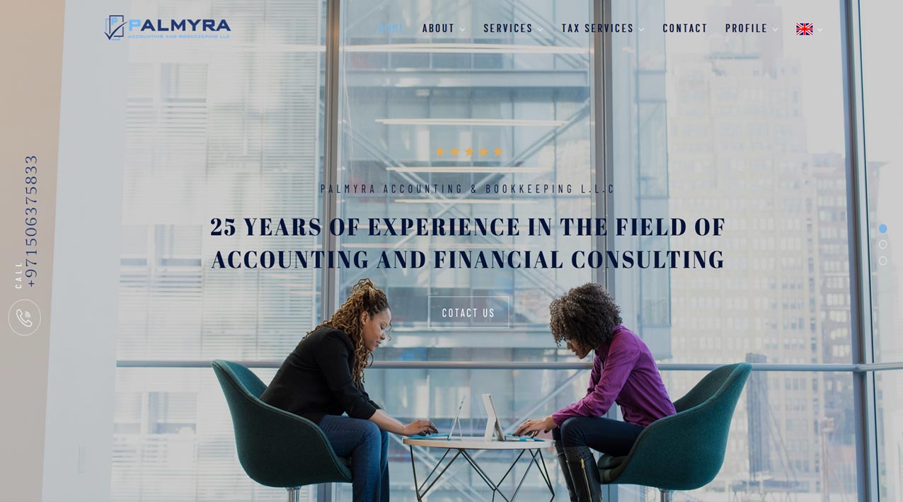 Palmyra accounting Developer